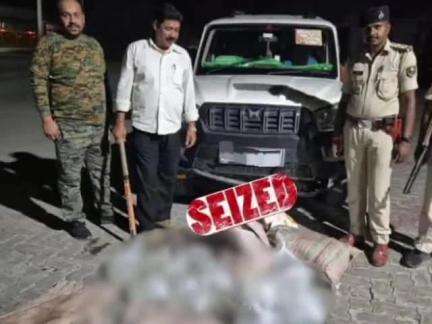 औरंगाबाद: मुफस्सिल थाने की पुलिस ने नेहुटा गांव के पास 450 लीटर देसी महुआ के साथ स्कार्पियो किया ज़ब्त
