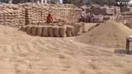 अम्बाला: जिले की 15 मंडियों से 244469 एमटी गेहूँ का उठान, 52955 किसान पहुंचे खरीद केंद्र, उपायुक्त