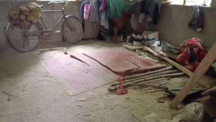 রাজগঞ্জ: সাহেবপাড়া এলাকায় নিজের কাকা শ্বশুরকে খুন করল বৌমা,এলাকায় চাঞ্চল্য