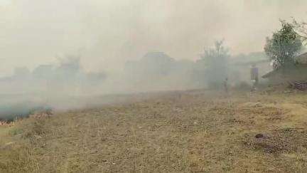 बिरसिंहपुर: ग्राम मदनी के खेतों में नरवाई में लगी आग, हवा से बस्तियों तक पहुँची, ग्रामीणों ने पाया काबू