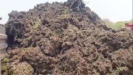 उदगीर: तिरु मध्यम प्रकल्पातील गाळ काढण्याच्या मोहिमेला सुरुवात,तहसीलदार राम बोरगावकर यांनी केली पाहणी