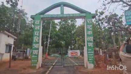 बैकुंठपुर: गुरु घासीदास राष्ट्रीय उद्यान में चालक पद की भर्ती में गड़बड़ी की हुई शिकायत