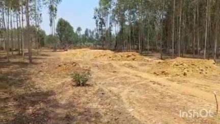 बेहट: तोता टांडा में मिट्टी का अवैध खनन कर रही ट्रैक्टर ट्रॉली को पुलिस ने पकड़ा
