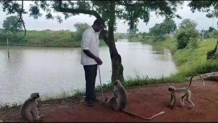 ಹುಬ್ಬಳ್ಳಿ ನಗರ: ಮಂಗಗಳ ಪ್ರೇಮಿ ರೈತ ಬಸವರಾಜ್