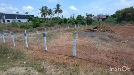 அன்னூர்: செந்தாம் பாளையத்தில் சுடுகாட்டை தனிநபர் ஆக்கிரமித்ததாக வருவாய்த் துறையினர் விசாரணை