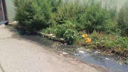 चांदपुर: नूरपुर में नालियों और सड़क से परेशान मोहल्ले वासियों ने सुनाया दिल का हाल, नाली और सड़क बनाने की उठाई मांग