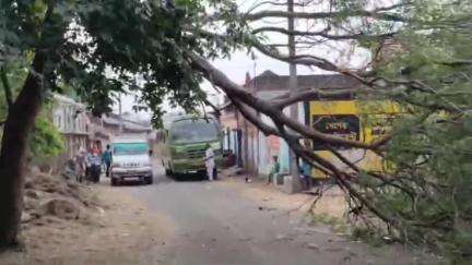 পুঞ্চা: পুঞ্চার সুঁড়িডি গ্রামে ঝড়ের তাণ্ডবে নিম গাছের ডাল ভেঙ্গে অবরুদ্ধ হয়ে যায় রাস্তা