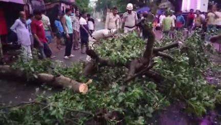 মেদিনীপুর: হাসপাতাল রোড, কলেজ রোড সহ মেদিনীপুর শহরে ঝড়ের দাপটে ভেঙে পড়ল একাধিক গাছ; দীর্ঘক্ষণ অবরুদ্ধ রাস্তা #jansamasya