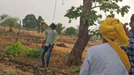 सुठालिया: सुठालिया क्षेत्र के मानकी गांव में पेड़ से लटका मिला युवक का शव, सुठालिया पुलिस ने किया मर्ग कायम