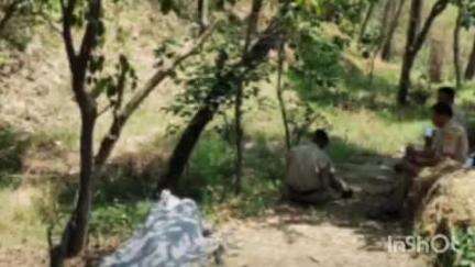 बड़सर: मलेहड़ा में पेड़ से लटका मिला व्यक्ति का शव, परिजनों ने हत्या की आशंका जताई