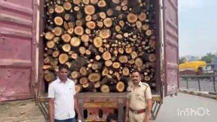 मावली: खेरवाड़ा वन विभाग की टीम ने 18 टन नीम की गीली लकड़ी से भरे कंटेनर को किया ज़ब्त