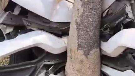 चांपा: अनियंत्रित होकर कार पेड़ से टकराई, हादसे में कार चला रहे व्यक्ति को आई चोट, चांपा के हथनेवरा गांव का मामला