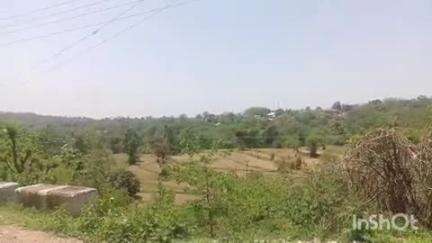 भोरंज: टौणीदेवी के कई गांवों में 16 और 17 तारीख को बिजली रहेगी बंद