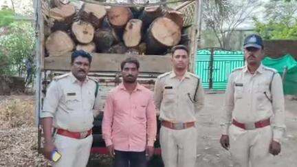रायसेन: खरगावली में वन विभाग ने आम की लकड़ी और पिकअप वाहन जब्त किया, वैध कागजात नहीं दिखाए जाने पर