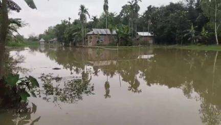 রাজগঞ্জ: তিস্তার জল বেড়ে গিয়ে পশ্চিম দলাইগাওতে ৬০টি বাড়ি জলমগ্ন, পরিদর্শনে পঞ্চায়েত সমিতির সভাপতি ও বিডিও#jansamasya
