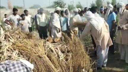 रोहतक: गांव बोहर माजरा में एक पिता और दो पुत्रों का हुआ अंतिम संस्कार, पूरे गांव में शोक छाया