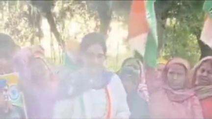 नारनौल: कर्नल सोफिया पर टिप्पणी के विरोध में नारनौल में कांग्रेस ने भाजपा मंत्री का पुतला फूंका