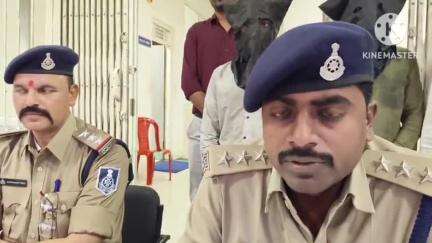 बड़ौद: बडौद पुलिस ने नशे के विरुद्ध बड़ी कार्रवाई करते हुए 11 क्विंटल 55 किलो 740 ग्राम अवैध डोडाचूरा पिकअप वाहन से ज़ब्त किया