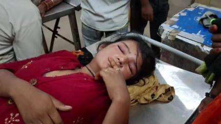 दमोह: सलैया में भंडारे के प्रसाद बनाने के दौरान मधुमक्खियों ने किया हमला, 5 से ज़्यादा लोग घायल, जिला अस्पताल में हुए भर्ती