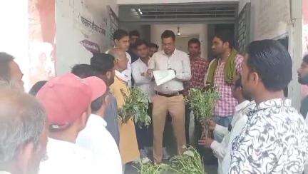 खातेगांव: बारिश से खेत में पानी भरने से फसल खराब, किसानों ने खातेगांव तहसीलदार को मुआवजे की मांग के लिए ज्ञापन सौंपा