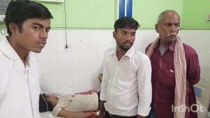 हिलसा: सोहरापुर गांव में सर्पदंश से किशोरी घायल