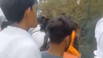 मऊरानीपुर: बरियाबेर के पास अरबी लेकर जा रही पिकअप गाड़ी पलटी, एक व्यक्ति घायल हुआ