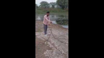 चित्तौड़गढ़: मानपुरा ग्राम पंचायत से रेस्क्यू किए गए दो जहरीले सांपों को सुरक्षित जंगलों में छोड़ा गया