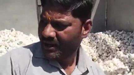 शिवपुरी नगर: शिवपुरी में लहसुन-प्याज की बंपर आवक से बाजार गुलजार, किसानों के चेहरे खिले