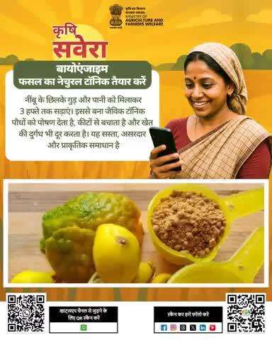 हर सुबह खेती की सही बात! 
जुड़े रहिए #KrishiSavera के साथ और शेयर करें अपनी टिप्स। 

#Agrigoi #Farmingtips