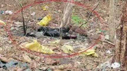 यवतमाळ: चौसाळा मार्गावरील जंगलात आढळला अनोळखी इसमाचा मृतदेह