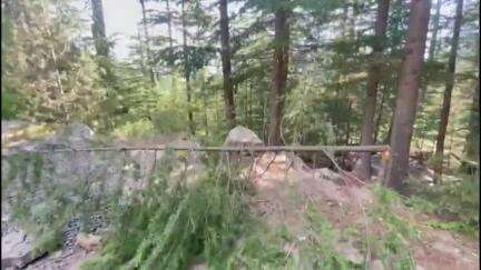 कल्पा: किन्नौर के युवारिंगी ग्राम पंचायत क्षेत्र में विदेशी पर्यटकों ने काटे देवदार के छोटे पेड़, वन विभाग मौके पर पहुंचा