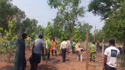 বরাবাজার: বামুনডিহা গরাম থানে পুজো করে গাছের গোড়ায় জল দিয়ে জঙ্গল বাঁচাও কর্মসূচি শেষ করল সমাজের নেতৃত্বরা