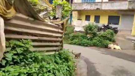 குன்னூர்: குன்னூர் நகராட்சிக்குட்பட்ட 20 வது வார்டில் ஆக்கிரமிப்புகள் அவசர சிகிச்சைக்கு 108 ஆம்புலன்ஸ்
செல்ல முடியாத  அவல நிலை