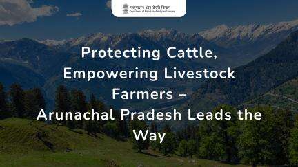 Arunachal Pradesh conducts a vaccination drive to protect cattle health and enhance dairy productivity.