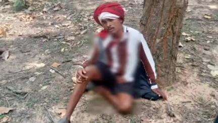 मानपुर: बाँधवगढ़ टाइगर रिजर्व के पनपथा कोर में गांगीताल के जंगल में मवेशी चराने गए चरवाहे पर बाघ का हमला