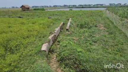 বর্ধমান ২: গোপালপুরে সেচ নালা বুজে যাওয়ায় সমস্যায় চাষিরা, সমাধানের আশ্বাস বিধায়কের #jansamasya