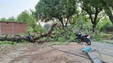 चाकुलिया: चाकुलिया प्रखंड क्षेत्र में 33000 वोल्ट का बिजली के तार गिरने से विद्युत आपूर्ति 21 घंटों से ठप