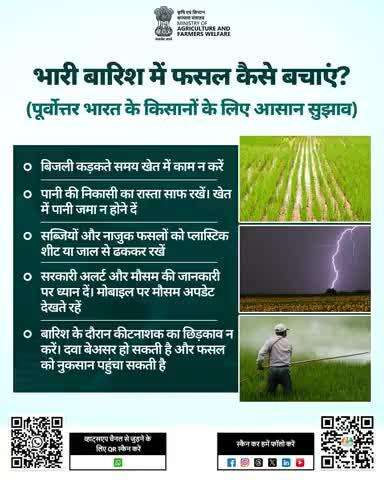 भारी बारिश का समय सतर्कता का समय है! इन आसान उपायों से अपनी फसल को सुरक्षित रखें और नुकसान से बचें।

#Agrigoi #IMD