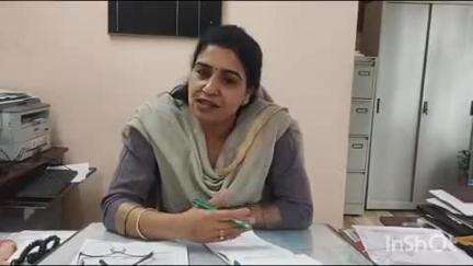बिलासपुर सदर: आम की फसल को होपर कीट का खतरा, उद्यान विभाग ने जारी की एडवाइज़री