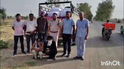 फतेहाबाद: ANC फतेहाबाद पुलिस ने 35 लाख रुपये के कचरा डोडा पोस्त के साथ दो तस्करों को गिरफ्तार किया, सब्ज़ी की आड़ में नशे की तस्करी