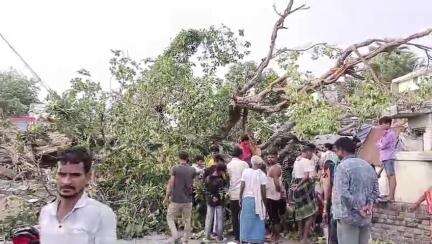 डुमरियागंज: तेज हवा और बारिश के कारण सालों पुराना पीपल का पेड़ गिरने से चार पहिया वाहन क्षतिग्रस्त, सोहास-मोहाना मार्ग बंद