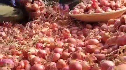 ಸಿಂದಗಿ: ಈರುಳ್ಳಿ ಬೆಳೆದ ಬಳಗಾನೂರ ಗ್ರಾಮದ ರೈತ ನವಾಬ್ ಕಂಗಾಲು, ಸೂಕ್ತ ಪರಿಹಾರಕ್ಕೆ ಒತ್ತಾಯ #localissue