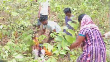 ଛେଣ୍ଡିପଦା: କୋଶଳା ଗ୍ରାମ ଝାରସୁଗୁଡା ସାହି ନିକଟ ଜଙ୍ଗଲରୁ ଯୁବକଙ୍କ ଝୁଲନ୍ତା ମୃତଦେହ ଉଦ୍ଧାର