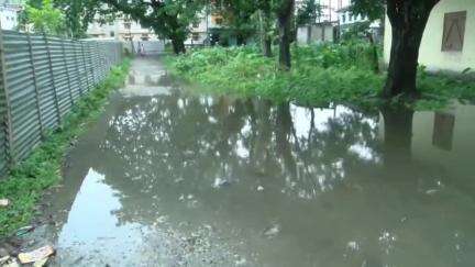 বঙাইগাঁও ভাগ: শংকৰদেৱ কলনীত নলা-নৰ্দমা নথকাৰ বাবে জ্বলা-কলা খাইছে শতাধিক ছাত্ৰৰ লগতে স্থানীয় লোকে,কাণসাৰ নাই জনপ্ৰতিনিধিৰ #jansamasya