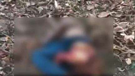 कुरई: कछार गांव के पास बाघ के हमले से एक व्यक्ति की हुई मौत, जांच में जुटा वन अमला