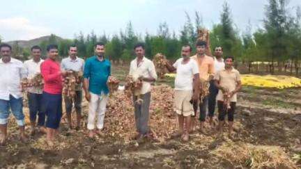 पाटोदा: कुठेवाडी येथे अवकाळी पावसाने कांदा पिकाचे मोठ्या प्रमाणात नुकसान