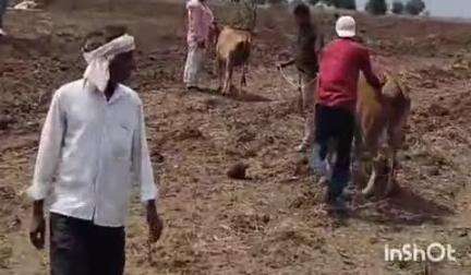 अकोट: दहीहांडा नजिक कार चालकाचे कार वरील नियंत्रण सुटल्याने कार पलटी;कारचे नुकसान