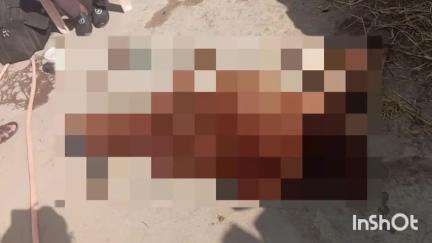 बिछिया: अंजनिया क्षेत्र में होटल और ढाबा संचालक फेक रहे खाना, सड़ा हुआ खाना खाने से एक दर्जन से अधिक जानवरों की मौत