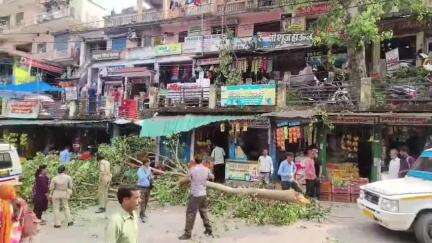 कर्णप्रयाग: तेज हवाओं के चलते कर्णप्रयाग मुख्य बाजार में पीपल के पेड़ का एक बड़ा हिस्सा टूटकर गिरा, बड़ा हादसा होने से टला