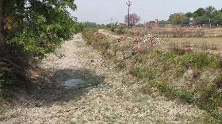 अमेठी: नहरों में पानी न आने से सूख रही जायद की फसल, धान की नर्सरी डालने में हो रहा है देरी, किसान परेशान